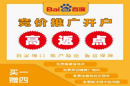 百度推广公司：成功案例解析