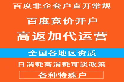 抖音信息流广告代理服务的市场现状与未来趋势